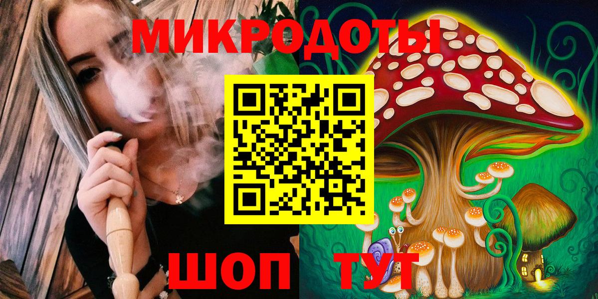Мурино  Галлюциногенные грибы Psilocybe  Галлюциногенные грибы Cubensis  что такое наркотик  Вход с VPN 
