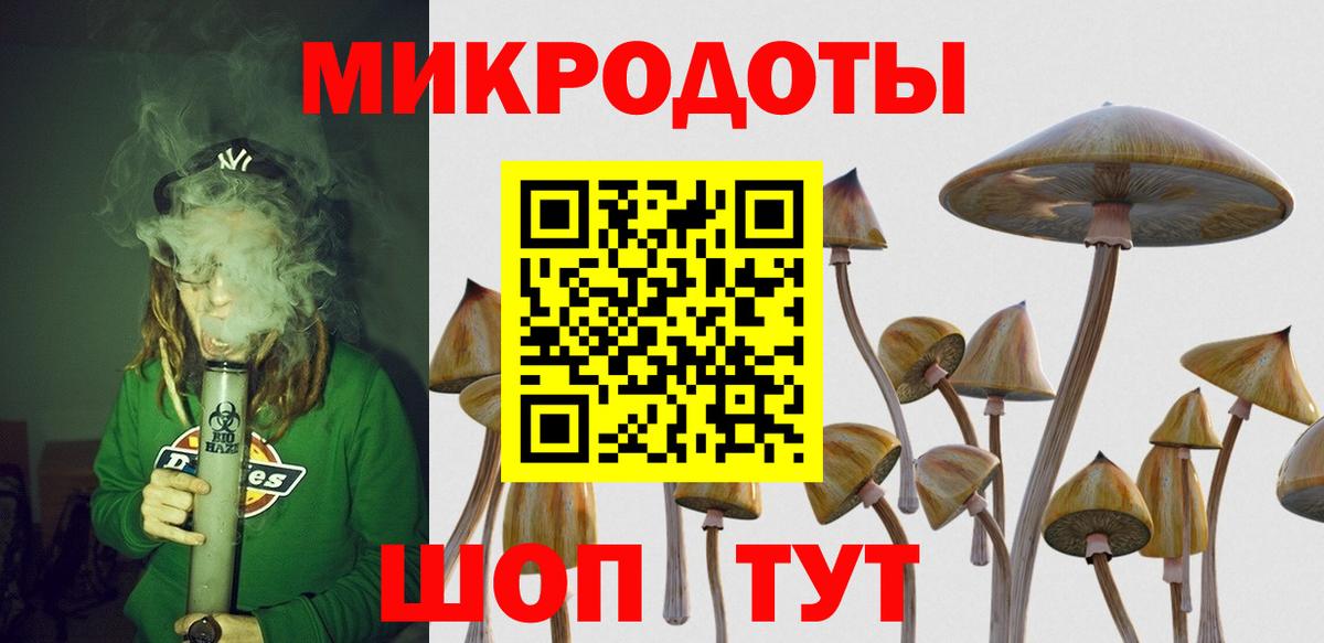 Галлюциногенные грибы Magic Shrooms Мурино